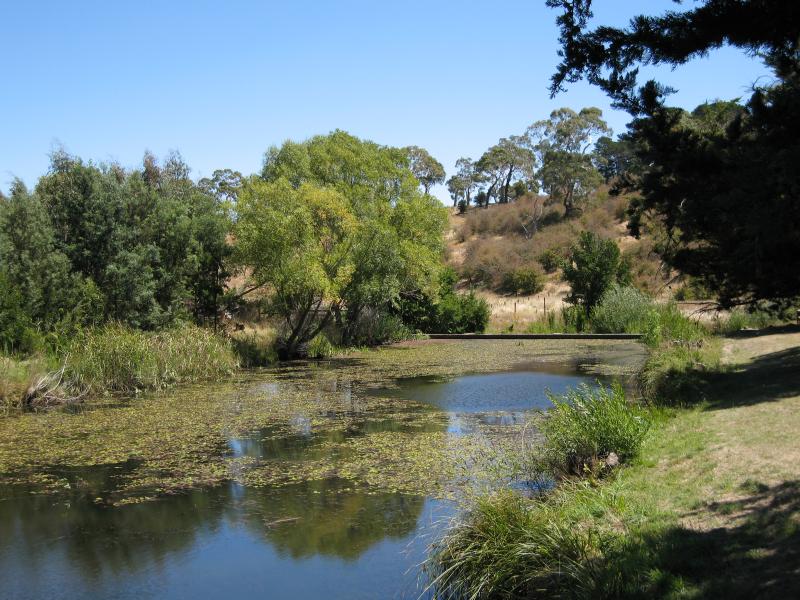 Kyneton - Campaspe River: View west along Campaspe River towards weir at St Agnes Pl