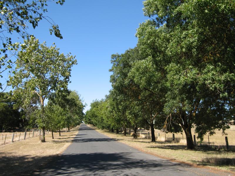 Kyneton - Lauriston Reservoir: View north along access road to Lauriston Reservoir entrance gate