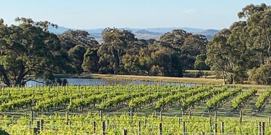 Cobaw Ridge, Pastoria East