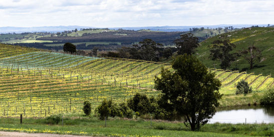 Granite Hills, Baynton