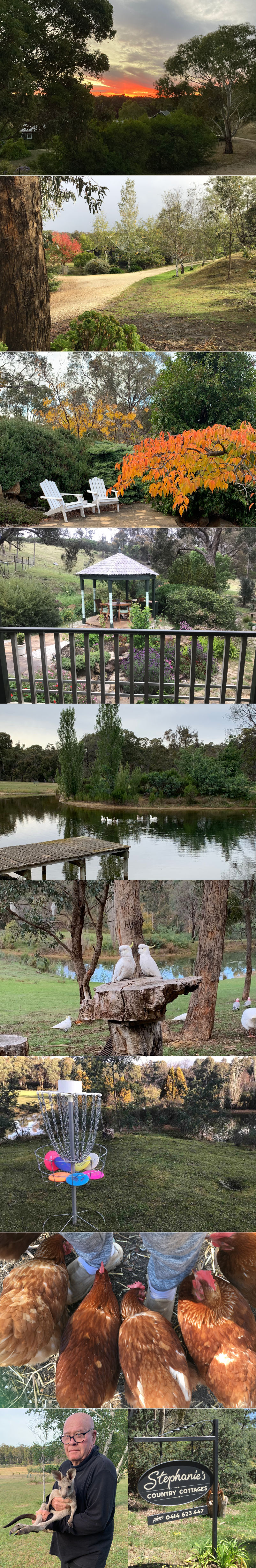 Stephanie's Country Cottages - The surrounding property