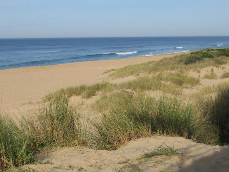 Lakes Entrance - Ninety Mile Beach: View west along beach near footbridge