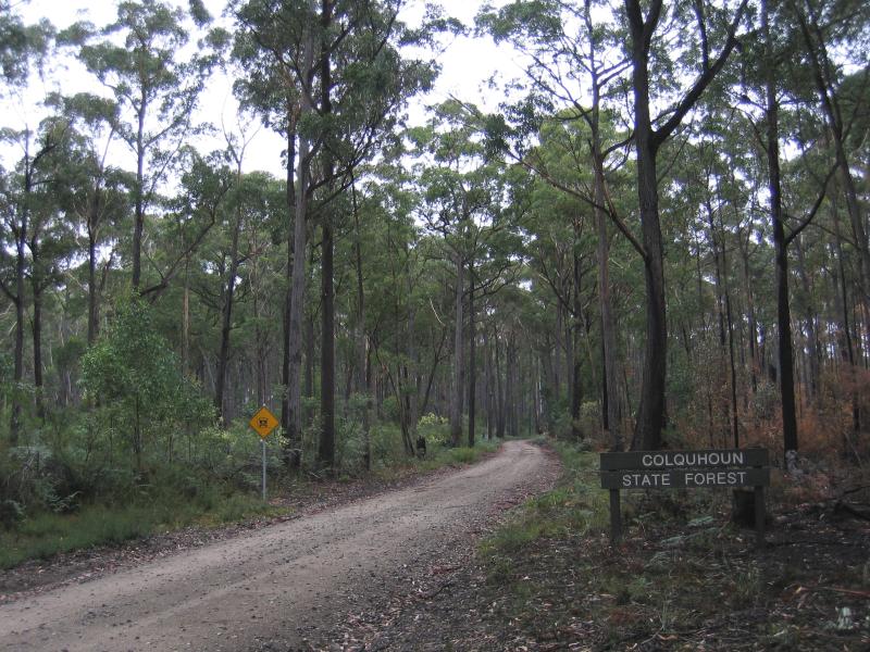 Lakes Entrance - Stony Creek Trestle Bridge, Colquhoun Forest, off Princes Highway: Old Colquhoun Rd, near Princes Hwy through Colquhoun Forest
