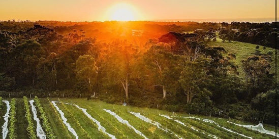 Wyanga Park Winery, Lakes Entrance