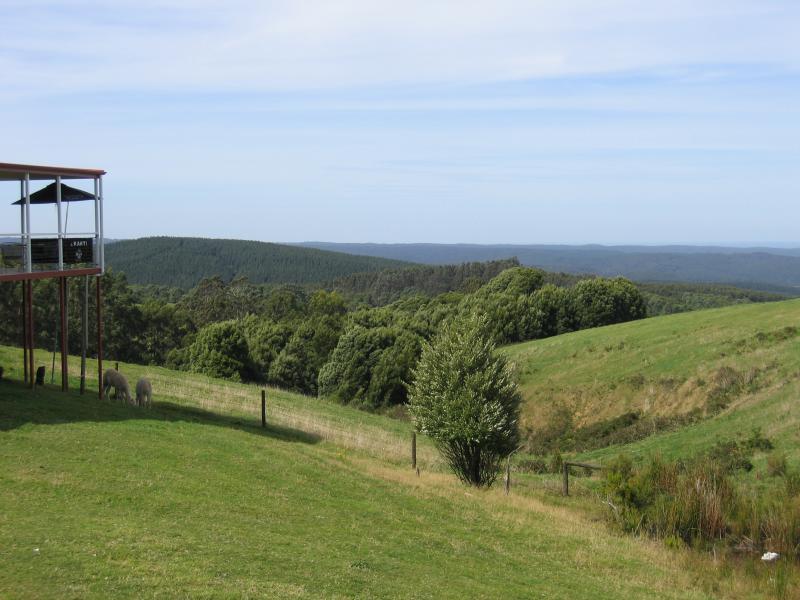 Lavers Hill - Shops and commercial centre: Southerly view at Otway Junction Bistro
