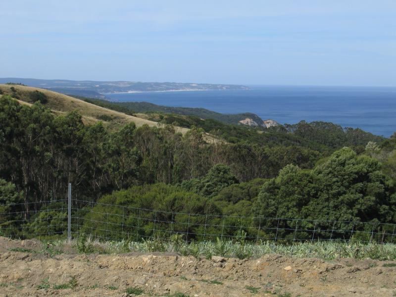 Lavers Hill - Scenery along Great Ocean Road near Yuulong - View to coast from lookout south-west of Yuulong