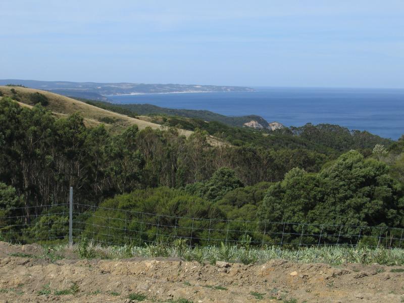 Lavers Hill - Scenery along Great Ocean Road near Yuulong: View to coast from lookout south-west of Yuulong