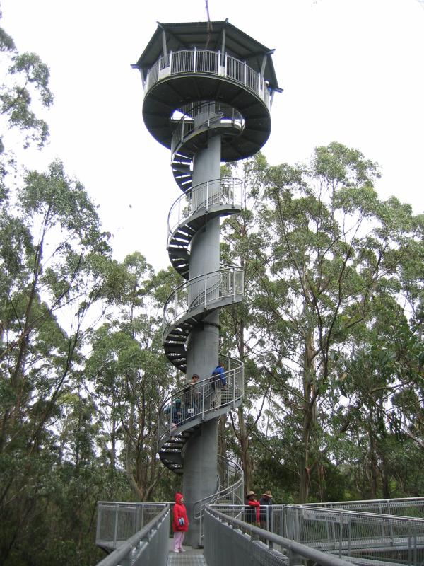 Lavers Hill - Otway Fly tree top walk, Phillips Track, Beech Forest: Spiral tower