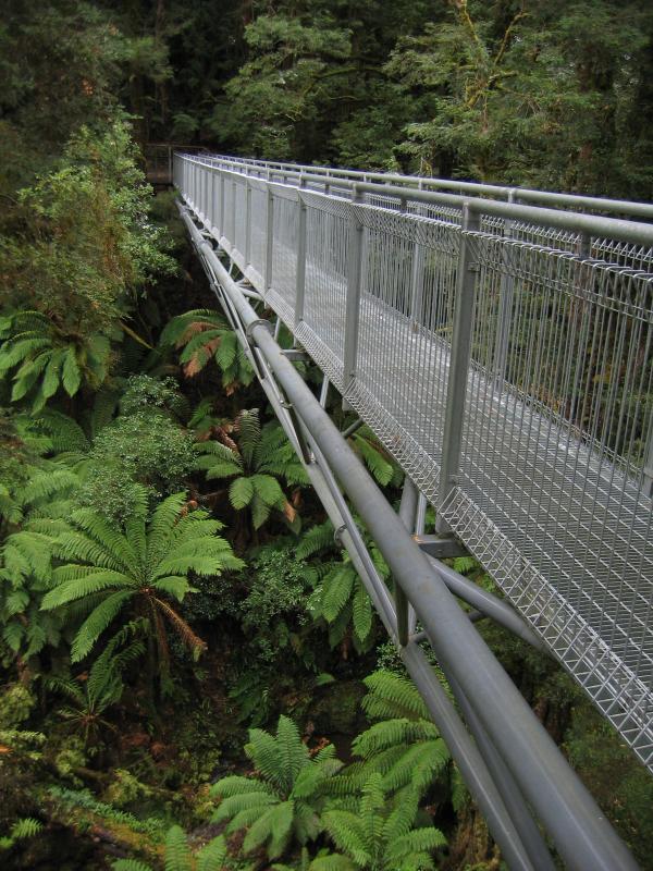 Lavers Hill - Otway Fly tree top walk, Phillips Track, Beech Forest: End of tree-top walk