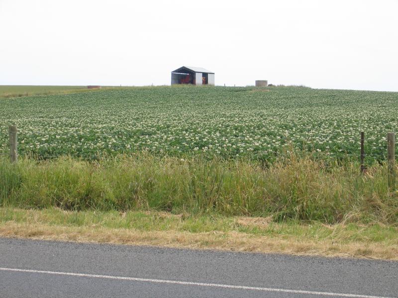 Leongatha - Around town: Potato farm, South Gippsland Highway, south of town