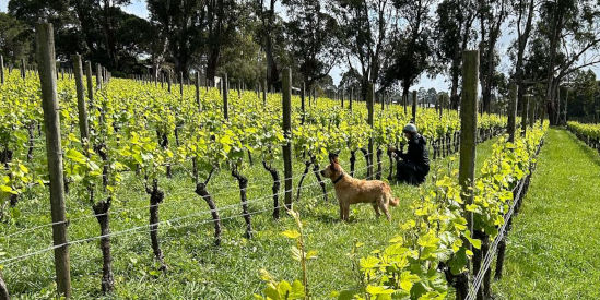Fleet Wines, Leongatha