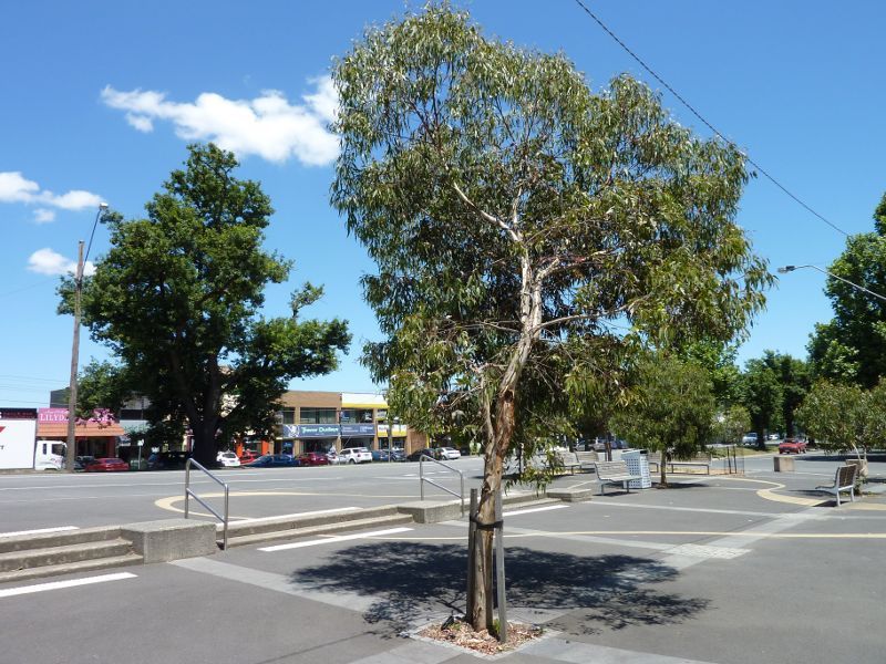 Lilydale - Shops and commercial centre, Main Street: Westerly view through square on west side of Olinda Creek