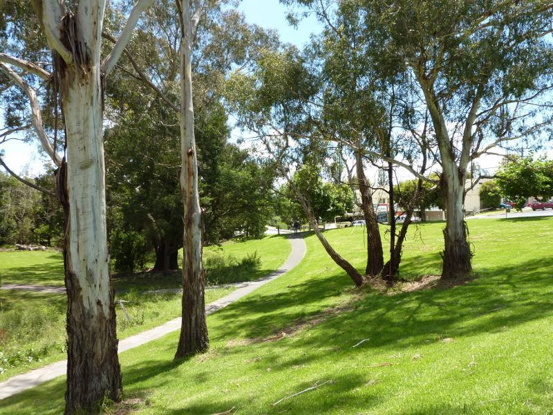 Lilydale - Eyrefield Park, Hardy Street: Northerly view through park towards Hardy St