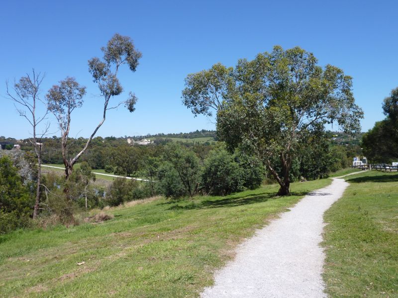 Lilydale - Lillydale Lake Park, Swansea Road: Easterly view along pathway at lookout