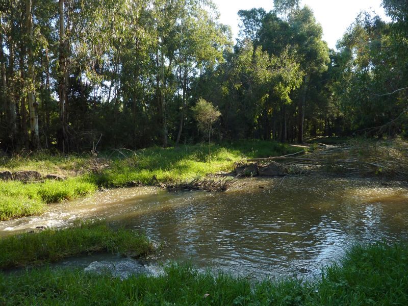 Lilydale - Lillydale Lake Park, Swansea Road: Olinda Creek at northern side of embankment
