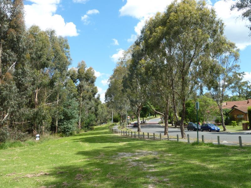 Lilydale - Hull Road Wetlands, Lakeview Drive: Southerly view along Lakeview Dr