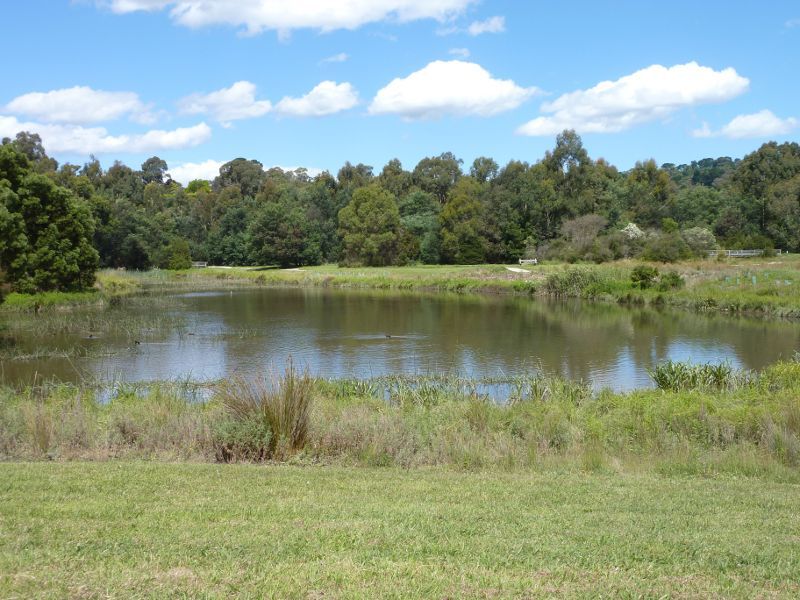 Lilydale - Hull Road Wetlands, Lakeview Drive: Lake