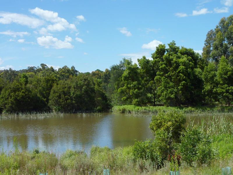 Lilydale - Hull Road Wetlands, Lakeview Drive: Lake