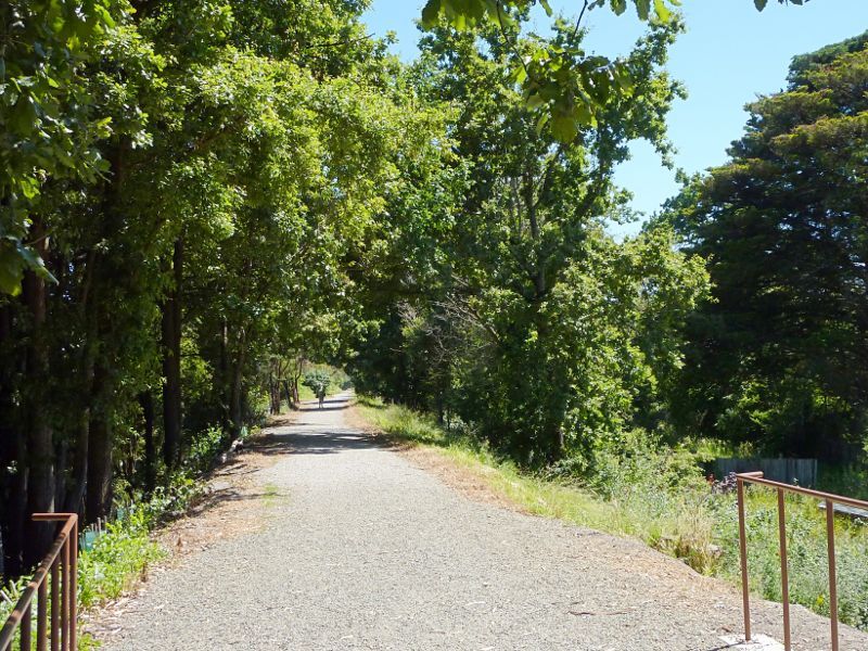 Lilydale - Lilydale to Warburton Rail Trail: Pathway north of bridge over Maroondah Hwy