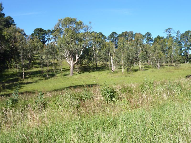 Lilydale - Warburton Highway: North-easterly view, Warburton Hwy near Glenside Cl