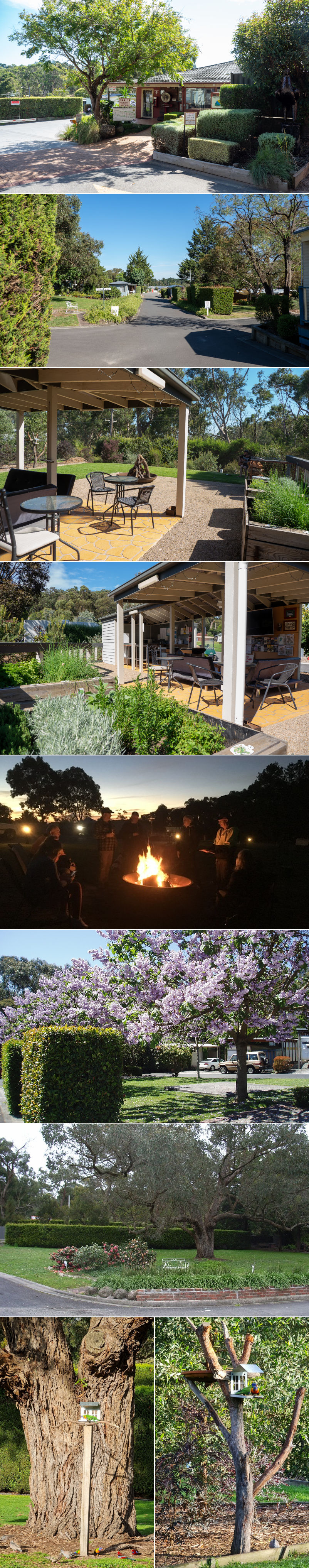 Lilydale Pine Hill Caravan Park - Around the park