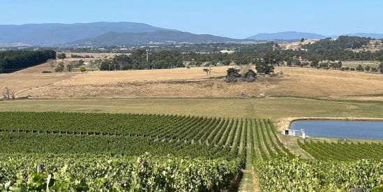 Billanook Estate, Chirnside Park