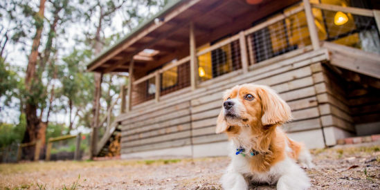 Countrywide Cottages