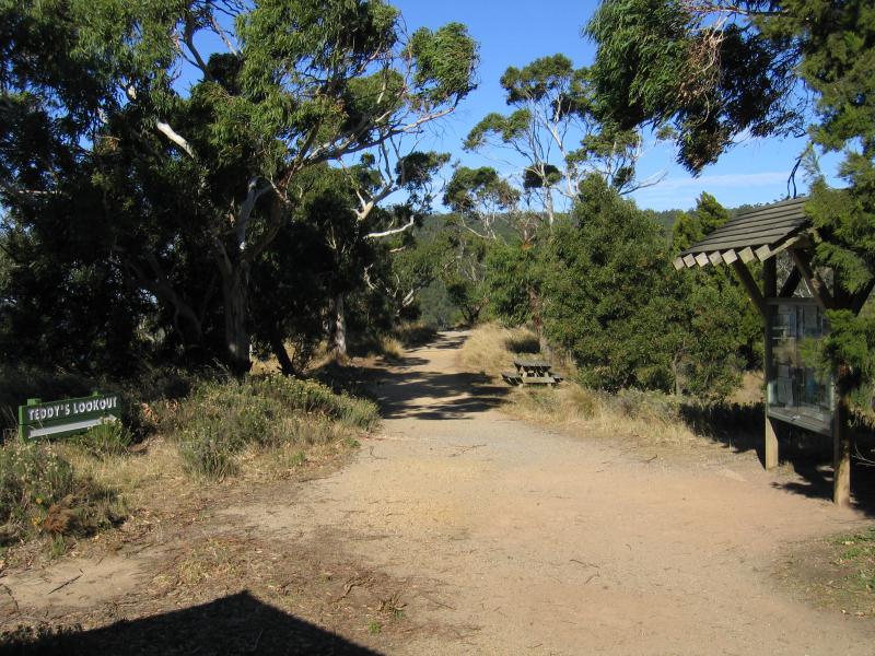 Lorne - Teddys Lookout: Path to lookout from car park