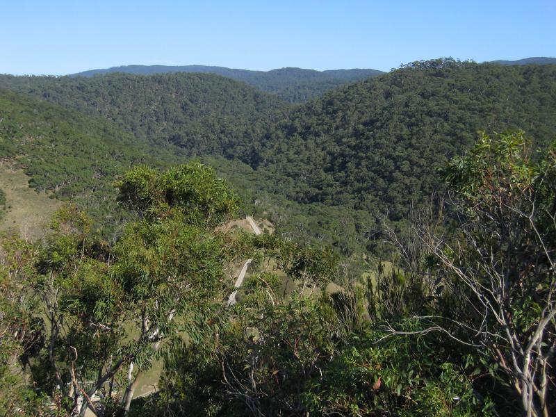 Lorne - Teddys Lookout: View inland from upper lookout