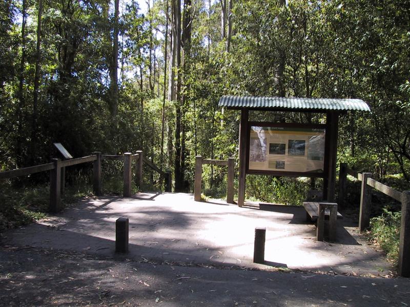 Lorne - Erskine Falls: Walking track down to falls from car park