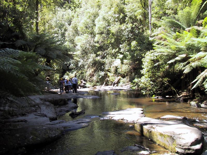 Lorne - Erskine Falls: Erskine River at base of falls