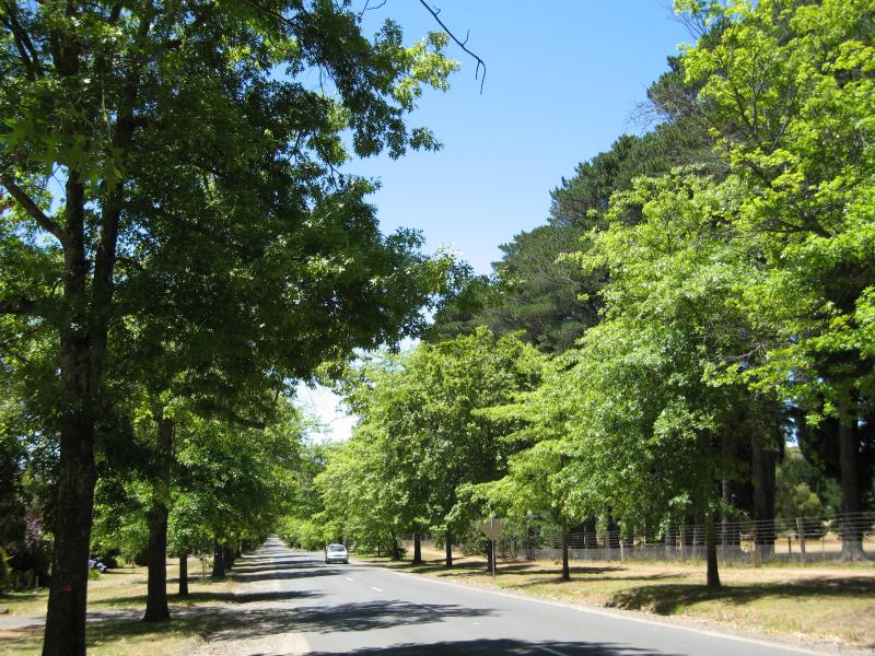 Macedon - Honour Avenue: View east along Honour Av at Bent St