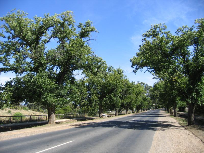 Maldon - Around Maldon and outskirts: View south along High St between Tobin St and Union St