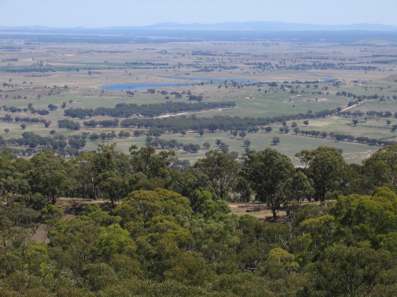 Maldon - Mount Tarrengower and lookout tower: View from lookout