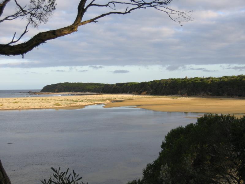 Mallacoota - Recreation Reserve, south of Allan Drive: View south-east along coast towards Bastion Point
