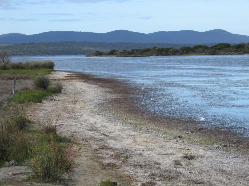 Mallacoota - Lakeside Drive and nearby residential areas: View north along coast at jetty, Lakeside Dr near Broome St