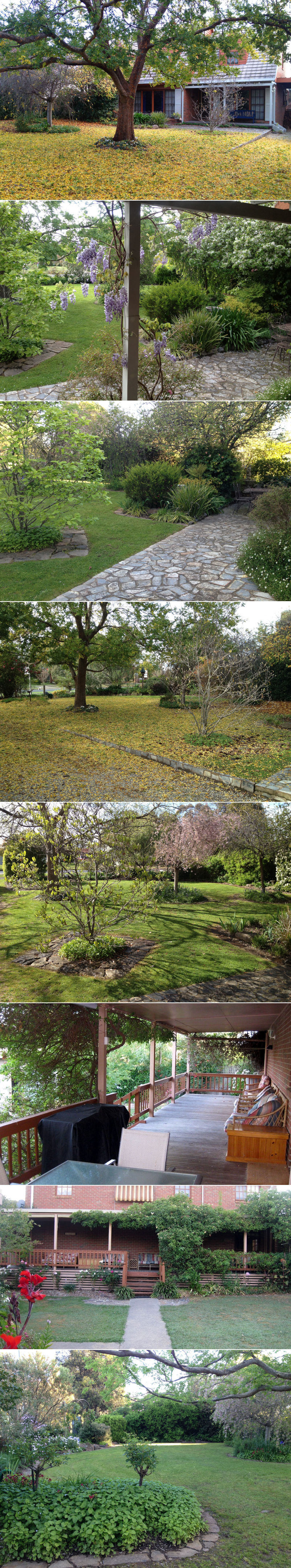 Mansfield House - The garden