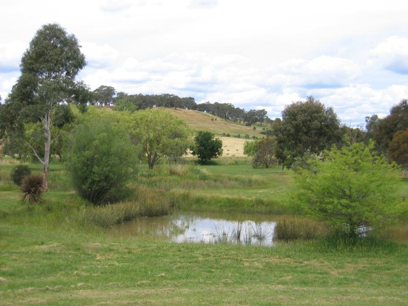 Mansfield - Botanic Park, High Street: Lake