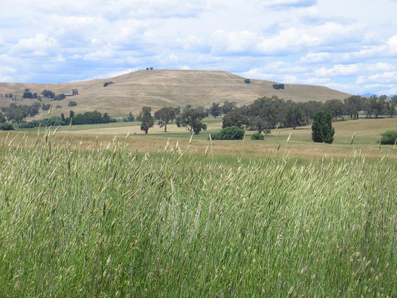 Mansfield - Around Mansfield and outskirts: View east from Midland Highway, 3.5 km north of town centre