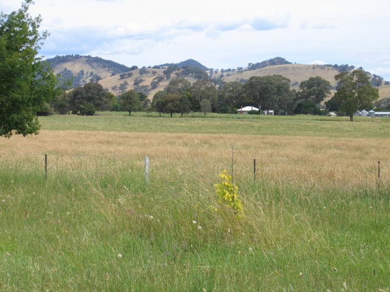 Mansfield - Around Mansfield and outskirts: View south, Maroondah Highway just west of Kidston Pde