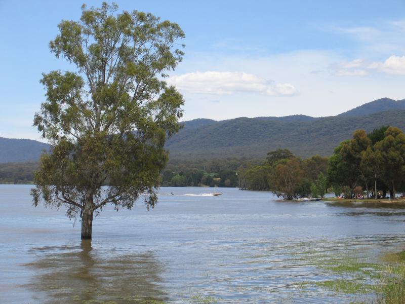 Mansfield - Lake Nillahcootie, Midland Highway, 25 km north of Mansfield: View south along lake towards boat ramp