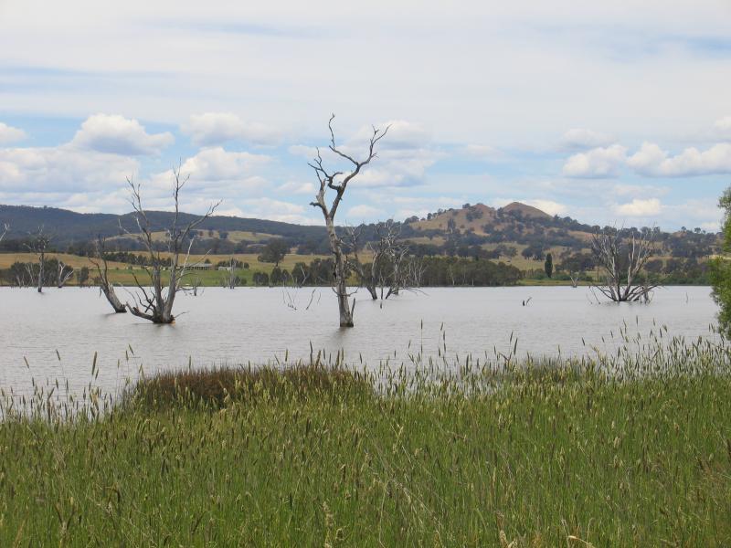 Mansfield - Lake Nillahcootie, Midland Highway, 25 km north of Mansfield: View east across southern end of lake from Midland Highway