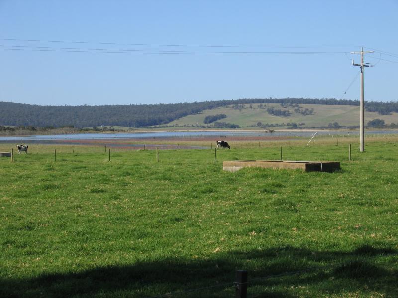 Marlo - Marlo Road between Orbost and Marlo: View east through grazing land and towards waterways around Lake Curlip, 10 km south of Orbost