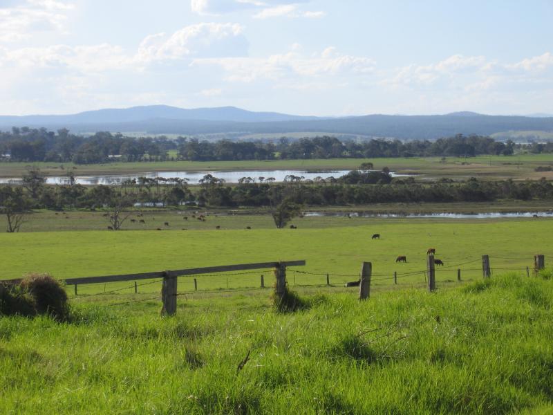 Marlo - Marlo Road between Orbost and Marlo: View north-west towards Snowy River from Marlo Rd at Healeys Rd