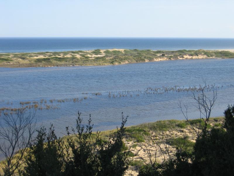 Marlo - Views from Marlo-Cape Conran Road: View south across Snowy River and towards Bass Strait, 4 km east of Marlo