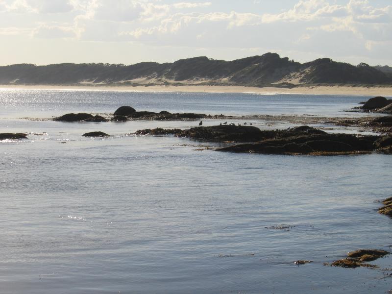 Marlo - West Cape at Cape Conran: View west along coast towards beach and sand dunes