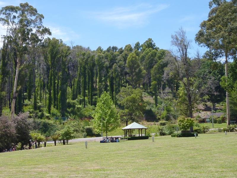 Marysville - Park along Darwin Street at Steavenson River: Easterly view through park towards Steavenson River