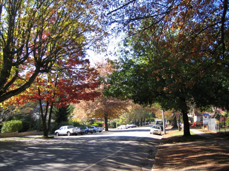 Marysville - (before the fires) Shops and commercial centre, Murchison Street: Autumn colours, view east along Murchison St east of Lyell St