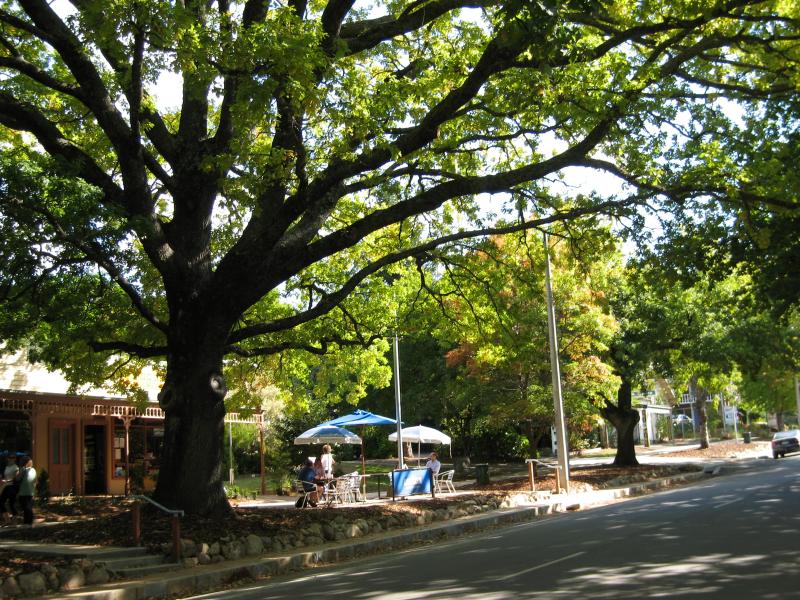 Marysville - (before the fires) Shops and commercial centre, Murchison Street: View west along Murchison St west of Pack Rd