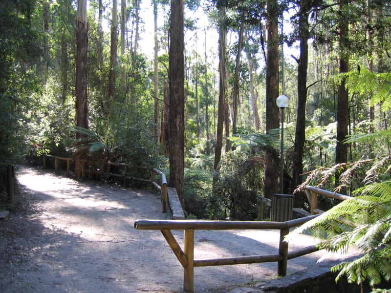 Marysville - (before the fires) Steavenson Falls, Falls Road: Along path to falls
